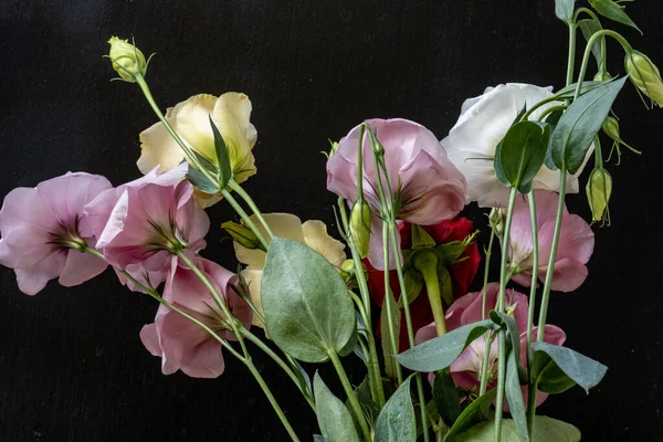 Mutluluk ve gül çiçekleri kapanıyor.