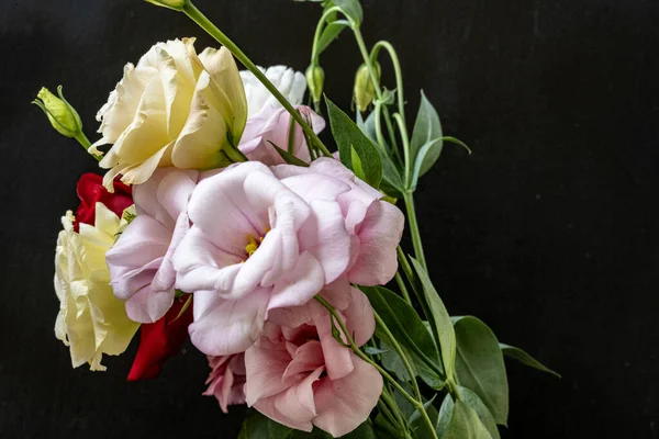 Mutluluk ve gül çiçekleri kapanıyor.