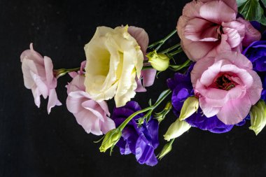 Östoma çiçeklerini kapayın.