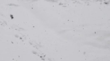 Karla kaplı zemin, yaklaşan kar taneleri