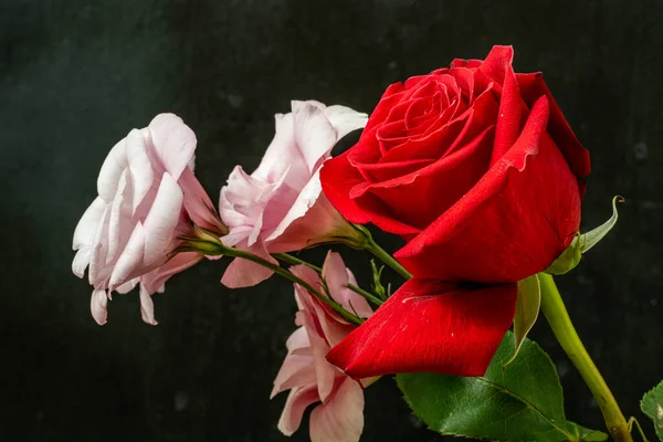 Siyah arkaplanda kırmızı gül ve pembe Eustoma.