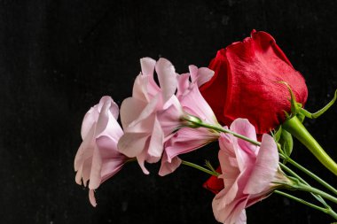 Siyah arkaplanda kırmızı gül ve pembe Eustoma.