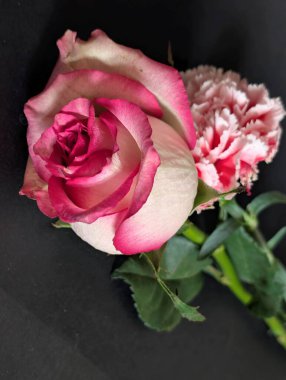 Dianthus and rose flowers on black background close up