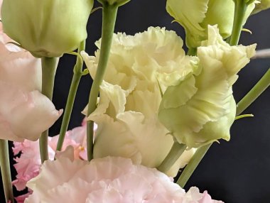 Bahçedeki güzel Eustoma çiçekleri