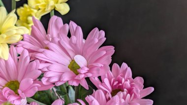 Kapalı - buket için güzel renkli çiçekler