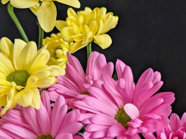 Kapalı - buket için güzel renkli çiçekler