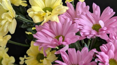 Kapalı - buket için güzel renkli çiçekler