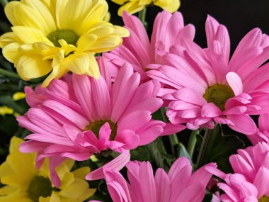 Kapalı - buket için güzel renkli çiçekler