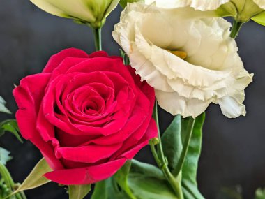 Kapalı - buket için güzel renkli çiçekler