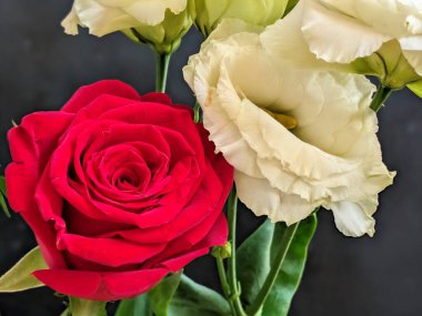 Kapalı - buket için güzel renkli çiçekler