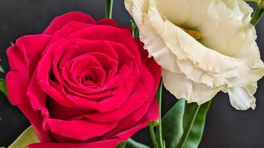 Kapalı - buket için güzel renkli çiçekler