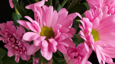 Kapalı - buket için güzel renkli çiçekler