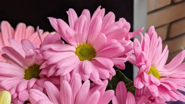 Buket için güzel parlak çiçekler, yakın çekim.