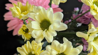 Buket için güzel parlak çiçekler, yakın çekim.