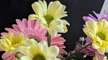 Buket için güzel parlak çiçekler, yakın çekim.