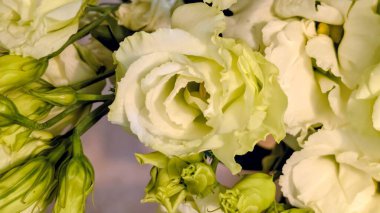 Buket için güzel parlak çiçekler, yakın çekim.