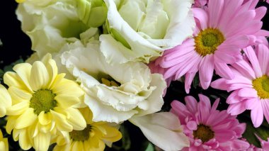 Papatyalar ve güller dahil renkli çiçekler.