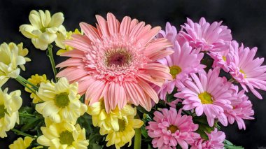 Güzel bir bukette dizilmiş renkli çiçekler.