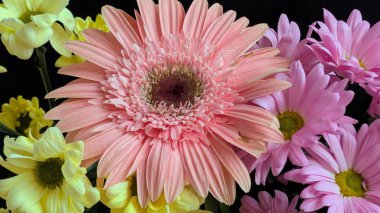 Renkli çiçekler canlı bir düzende çiçek açıyor.