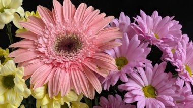 Pembe ve sarı papatyalar dahil renkli çiçekler.