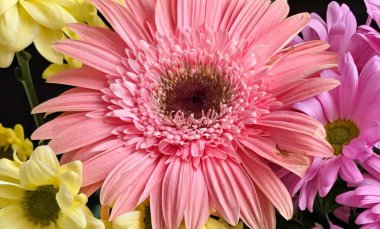 Renkli çiçekler canlı düzenlemelerle çiçek açıyor.