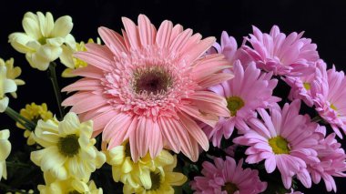 Güzel bir bukette dizilmiş renkli çiçekler.