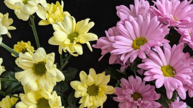 Sarı ve pembe çiçekler birlikte açıyor.