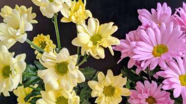 Sarı ve pembe çiçekler birlikte açıyor.