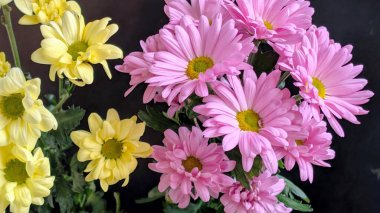 Sarı ve pembe çiçekler bir arada.