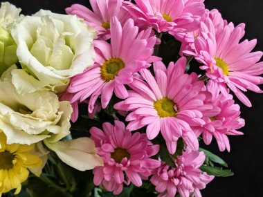 Renkli pembe ve beyaz çiçekler.