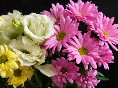 Renkli pembe sarı beyaz çiçekler.