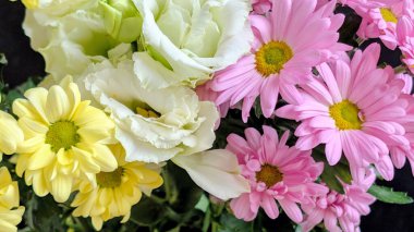 Pembe sarı beyaz çiçekleri de içeren renkli çiçekler