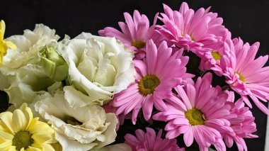 Siyaha dizilmiş renkli çiçekler.