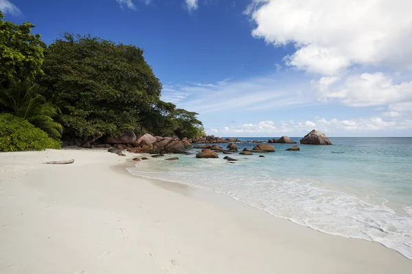 Beach in Seychelles islands — Stock Photo, Image
