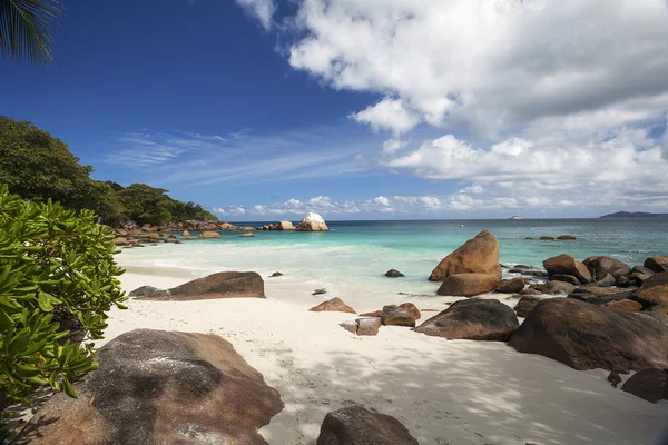 Praia nas ilhas Seychelles — Fotografia de Stock