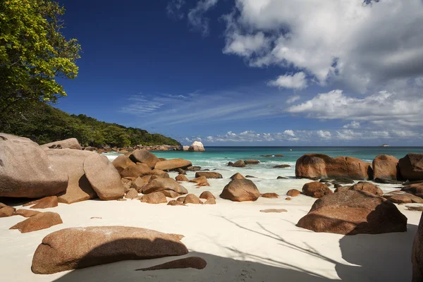 Plage aux Seychelles îles — Photo