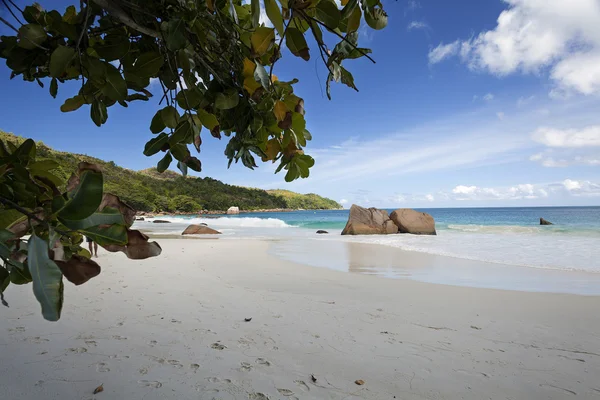 Praia nas ilhas Seychelles — Fotografia de Stock