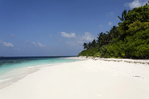 Tropisk ö palm hav och himmel — Stockfoto