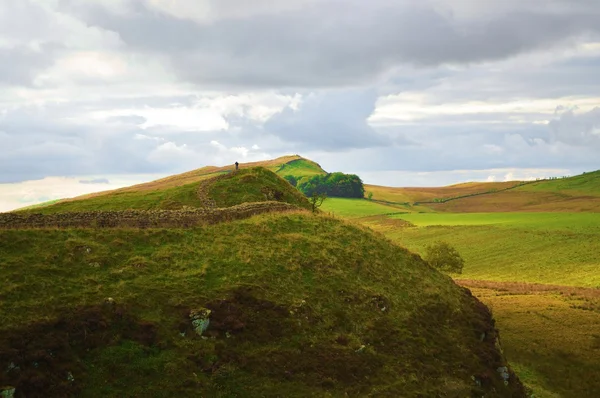 Hadrians Wall Northumberland – stockfoto