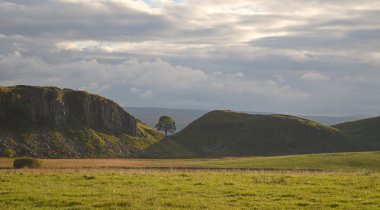 Sycamore Gap at Steel Rigg on Hadrians Wall clipart
