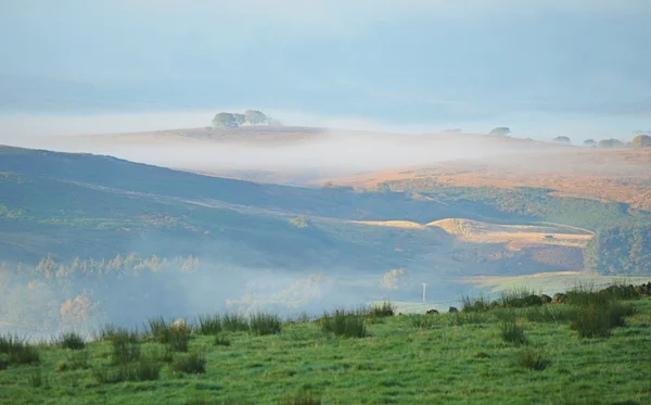 Misty völgy Northumberland uk — Stock Fotó