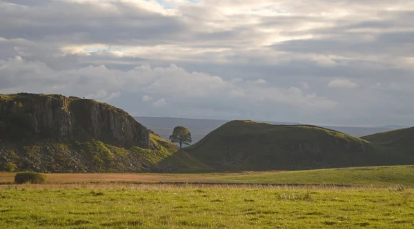 Sycamore Gap em Steel Rigg em Hadrians Wall — Fotografia de Stock