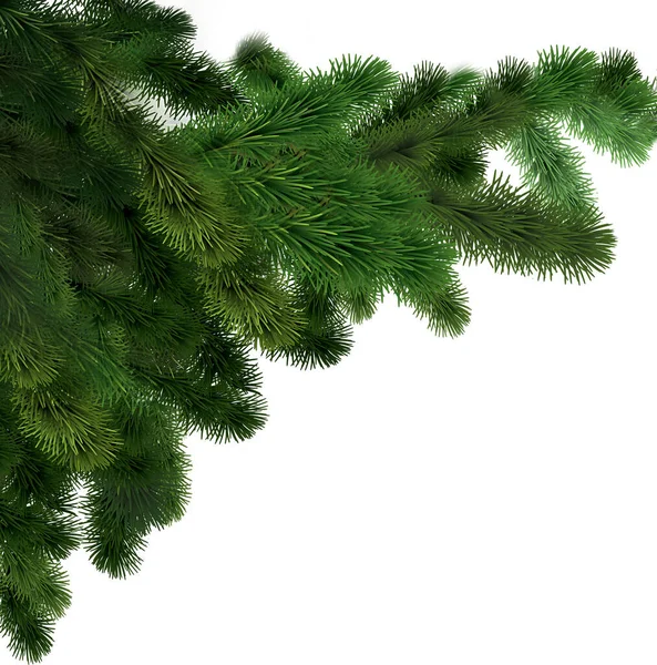 Зеленые еловые ветви на белом изолированном фоне. Новогодняя открытка — стоковое фото