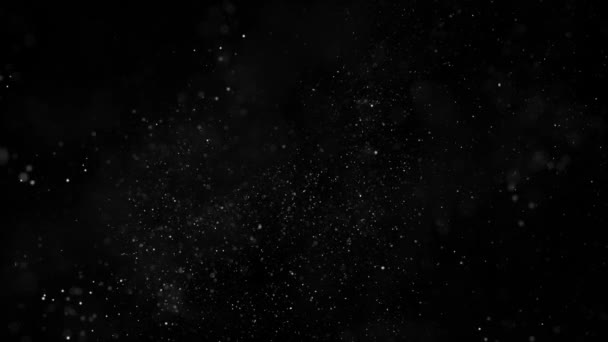 Small white particles flow in the air on a black background — Stock Video