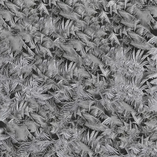 Zwart-wit ijskristallen op het glas — Stockfoto