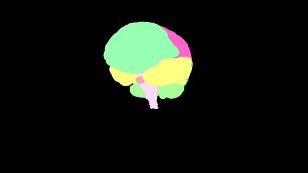 Komputerowa grafika człowieka wielokolorowy mózg 4k — Wideo stockowe