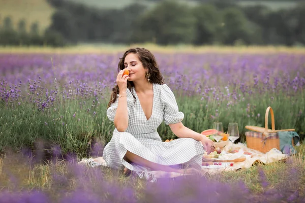 Yaz Mevsimi Lavanta Tarlaları Çiçek Tarlalarında Piknik Yapan Bir Kız — Stok fotoğraf