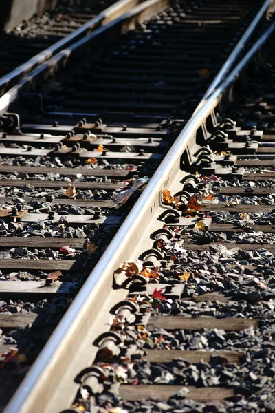 Trackbed with rails — Stock Photo, Image