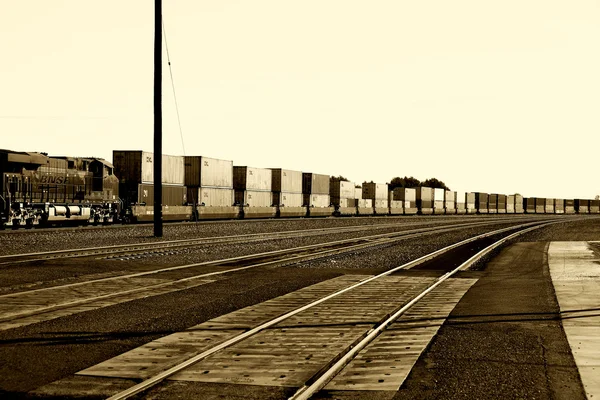 Railway in Needles — Stock Photo, Image