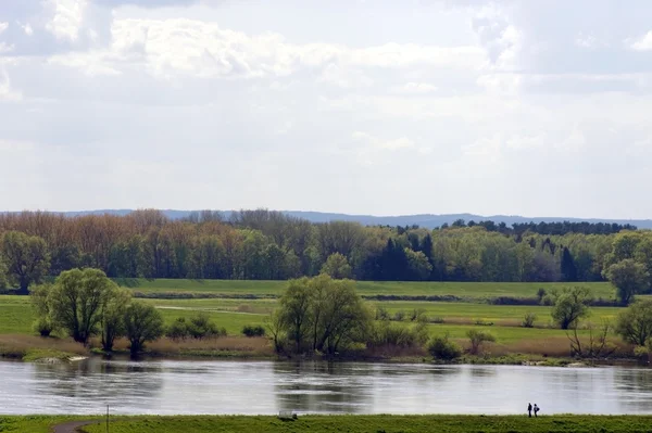 Marcheurs sur l'Elbe — Photo